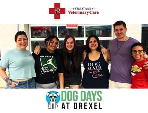 Come See Us at Dog Days at Drexel Town Square!