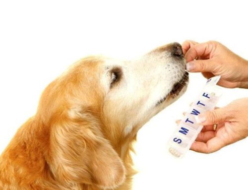 Holiday Prescription Refills
