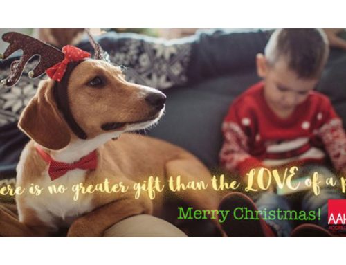 ‘Tis the Season!