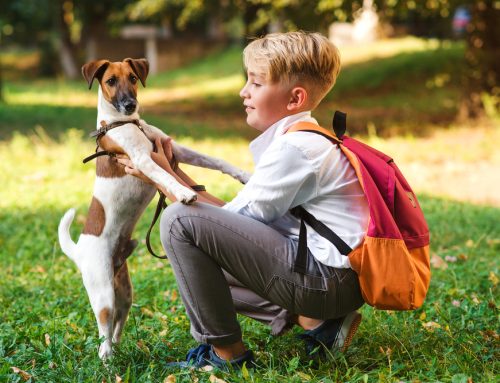 5 Back-To-School Tips From Your Pet