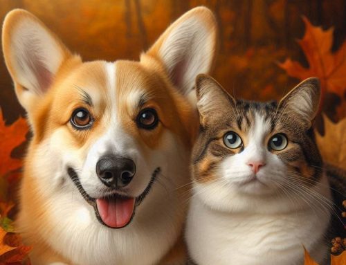 October Pet Care: Fall Fun and Safety Tips